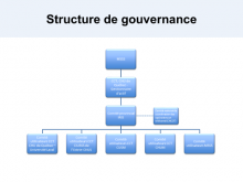 Structure gouvernance IRIS.png